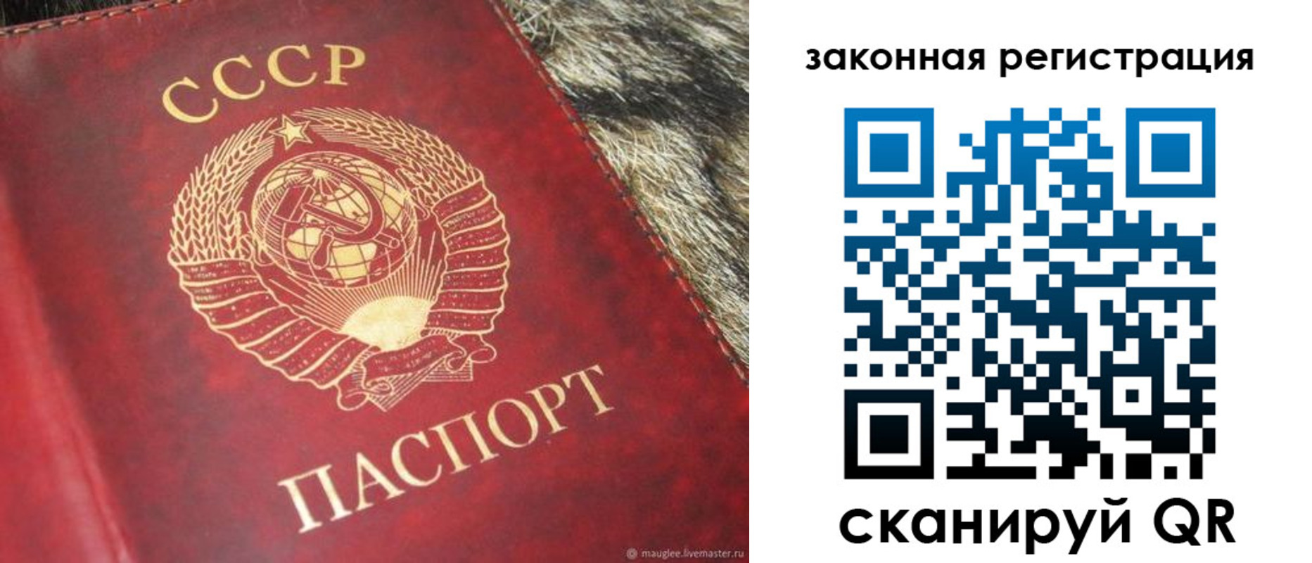 прописка от собственника в Тольятти